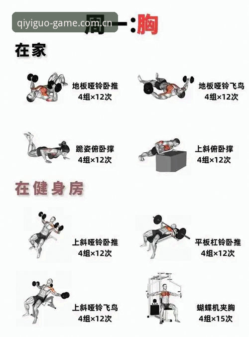 奇异果体育入口使用指南:5个新手必知的操作技巧与3大功能解析